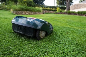 lawn-mower-414249_640(1)